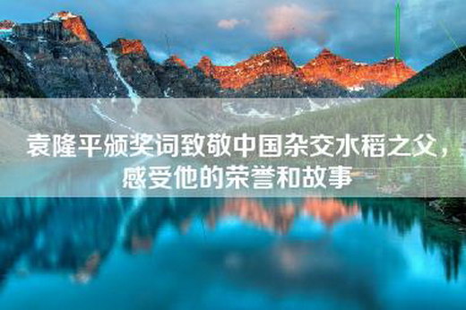 袁隆平颁奖词致敬中国杂交水稻之父，感受他的荣誉和故事