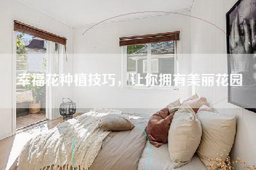 幸福花种植技巧，让你拥有美丽花园