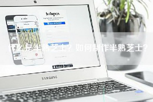 什么是半熟芝士？如何制作半熟芝士？