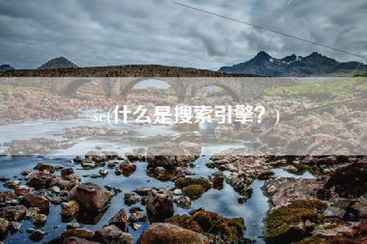 se(什么是搜索引擎？)