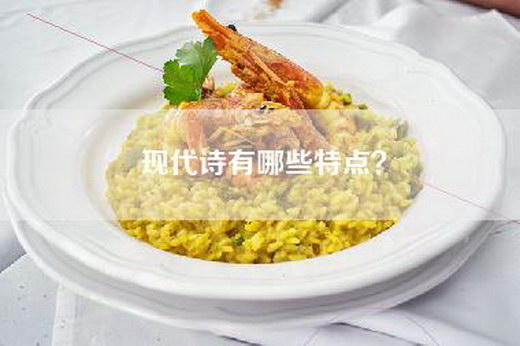 现代诗有哪些特点？