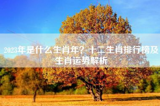 2023年是什么生肖年？十二生肖排行榜及生肖运势解析