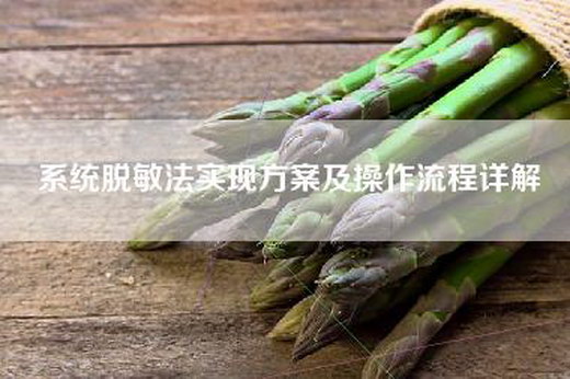系统脱敏法实现方案及操作流程详解