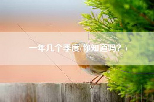 一年几个季度(你知道吗？)