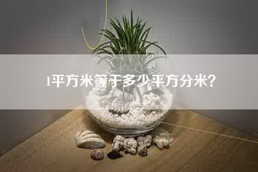1平方米等于多少平方分米？