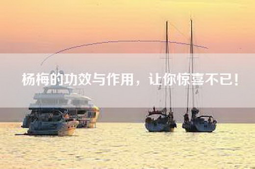 杨梅的功效与作用，让你惊喜不已！