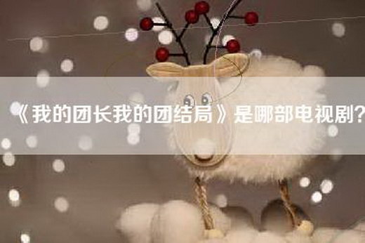 《我的团长我的团结局》是哪部电视剧？