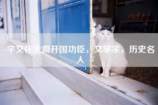 宇文怀北周开国功臣，文学家，历史名人