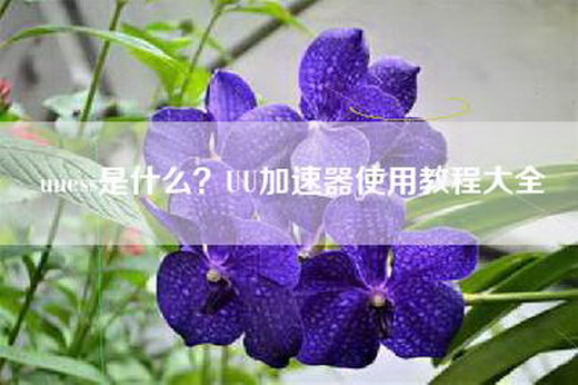 uuess是什么？UU加速器使用教程大全