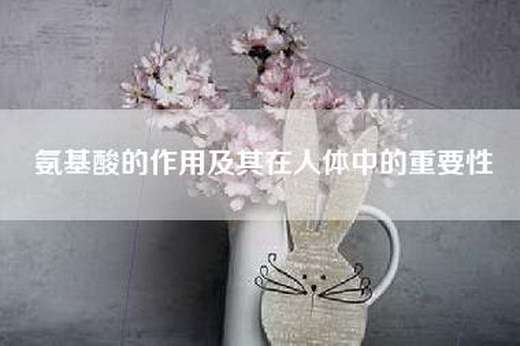 氨基酸的作用及其在人体中的重要性
