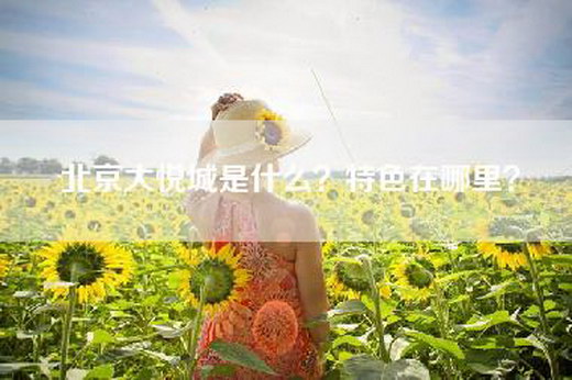 北京大悦城是什么？特色在哪里？