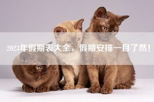 2023年假期表大全，假期安排一目了然！
