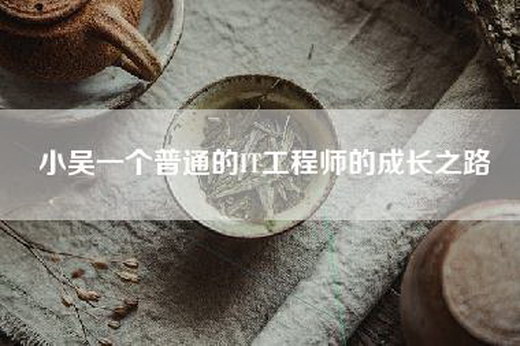 小吴一个普通的IT工程师的成长之路