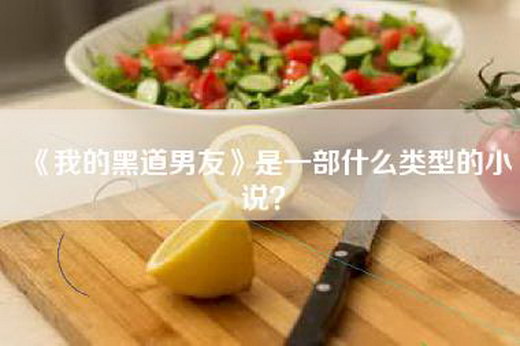 《我的黑道男友》是一部什么类型的小说？