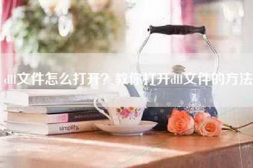 dll文件怎么打开？教你打开dll文件的方法