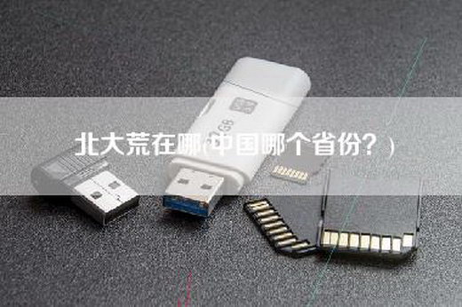 北大荒在哪(中国哪个省份？)