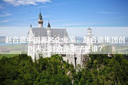 赵合德中国著名企业家，赵合德集团创始人，赵合德妻子是谁？