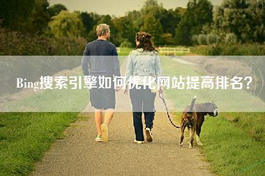 Bing搜索引擎如何优化网站提高排名？