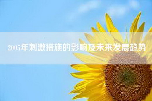 2005年刺激措施的影响及未来发展趋势