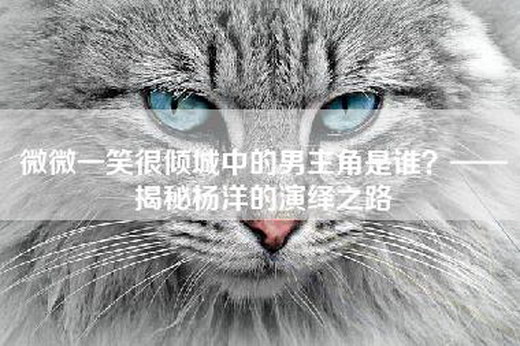 微微一笑很倾城中的男主角是谁？——揭秘杨洋的演绎之路