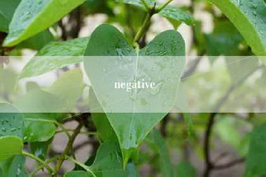 negative