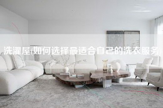 洗濯屋(如何选择最适合自己的洗衣服务)