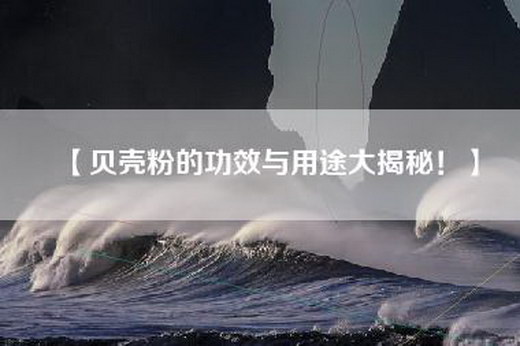 【贝壳粉的功效与用途大揭秘！】