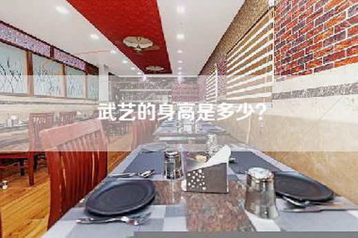 武艺的身高是多少？