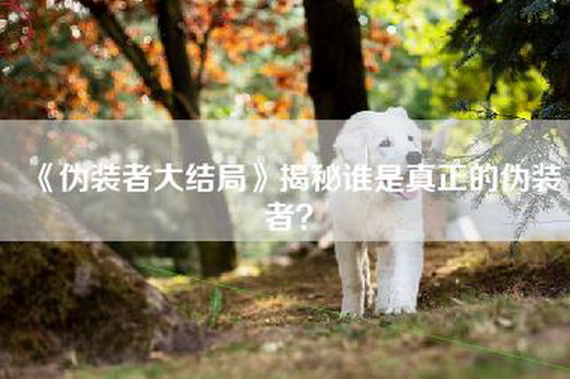 《伪装者大结局》揭秘谁是真正的伪装者？