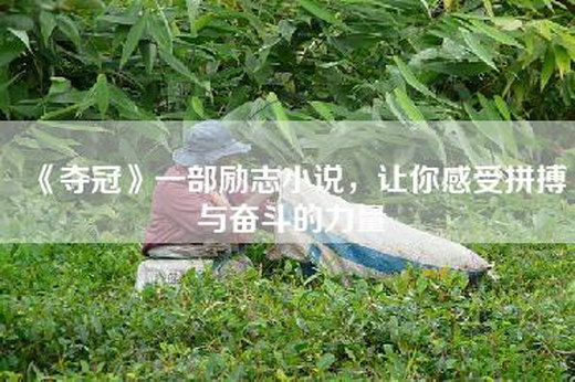 《夺冠》一部励志小说，让你感受拼搏与奋斗的力量