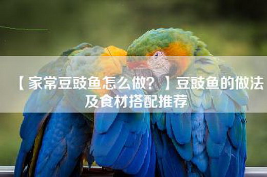 【家常豆豉鱼怎么做？】豆豉鱼的做法及食材搭配推荐