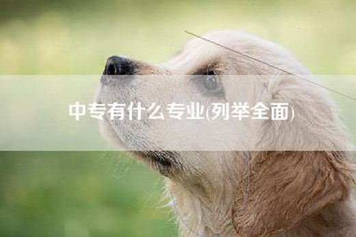 中专有什么专业(列举全面)