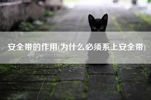 安全带的作用(为什么必须系上安全带)