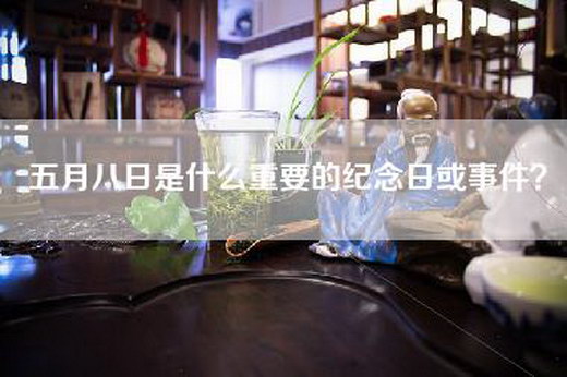五月八日是什么重要的纪念日或事件？
