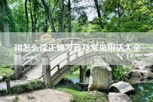 翊怎么读正确发音及常见用法大全