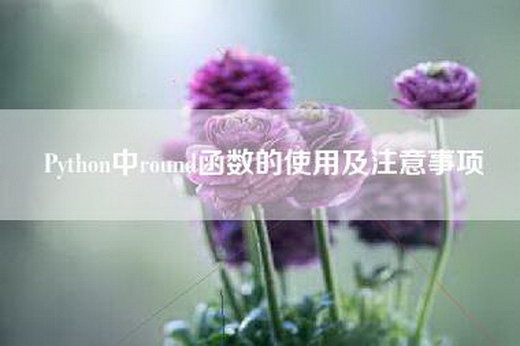 Python中round函数的使用及注意事项