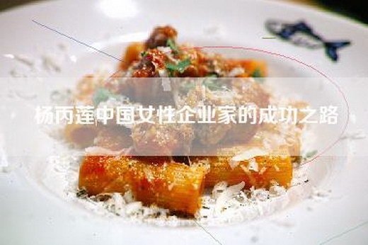 杨丙莲中国女性企业家的成功之路