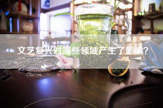 文艺复兴对哪些领域产生了影响？