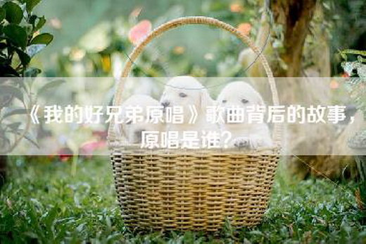 《我的好兄弟原唱》歌曲背后的故事，原唱是谁？