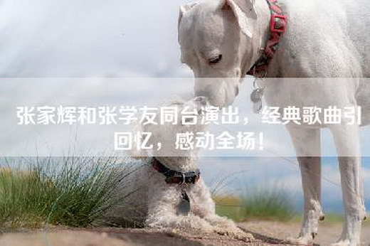 张家辉和张学友同台演出，经典歌曲引回忆，感动全场！