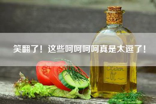 笑翻了！这些呵呵呵呵真是太逗了！