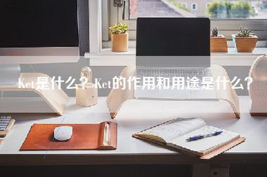 Ket是什么？Ket的作用和用途是什么？