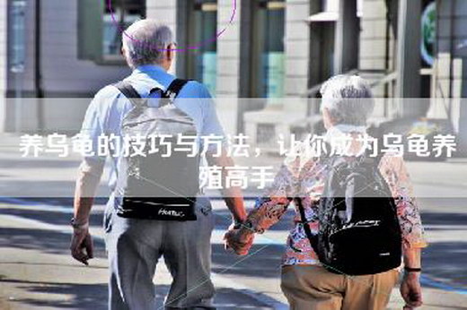 养乌龟的技巧与方法，让你成为乌龟养殖高手