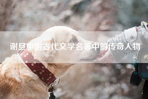 谢旦中国古代文学名著中的传奇人物