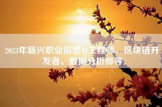 2023年新兴职业前景AI工程师、区块链开发者、数据分析师等