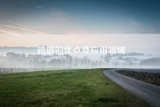 钨钢的优点及应用领域