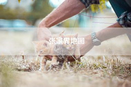 张家界地图
