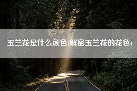 玉兰花是什么颜色(解密玉兰花的花色)