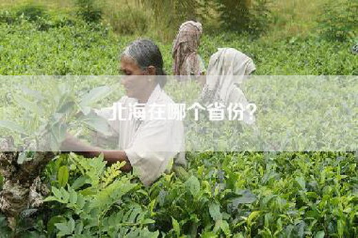 北海在哪个省份？