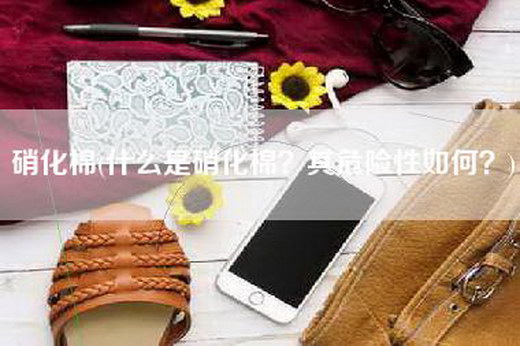 硝化棉(什么是硝化棉？其危险性如何？)